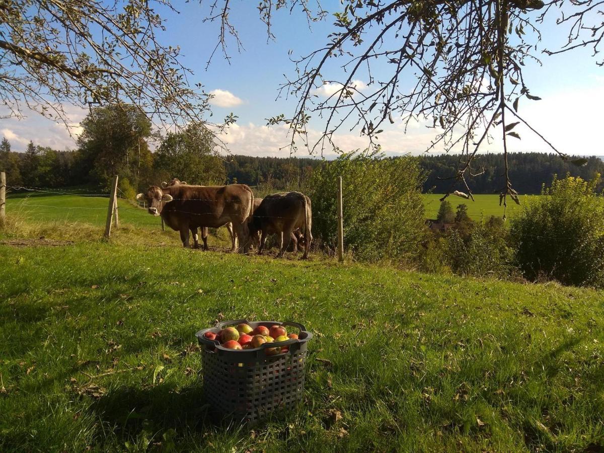 Ferienwohnung Trifts | Einzelbetten | Parkplatz Wangen im Allgäu Esterno foto
